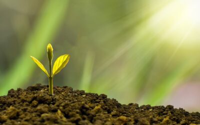 Future Fluency: Why AI and Sustainability Must Shape How We Teach Maths, English and Digital Skills