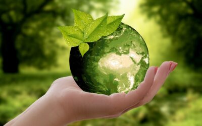 Core Skills and Sustainability